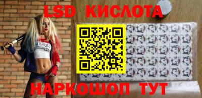 spice Бердск
