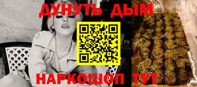 spice Бердск