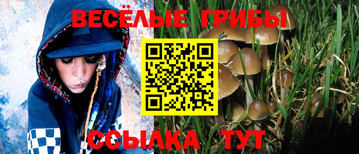 Галлюциногенные грибы MAGIC MUSHROOMS Вольск